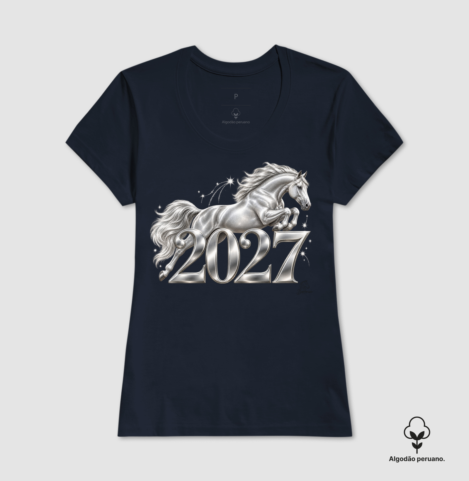 2027 Prata PREMIUM  - Imagem 8