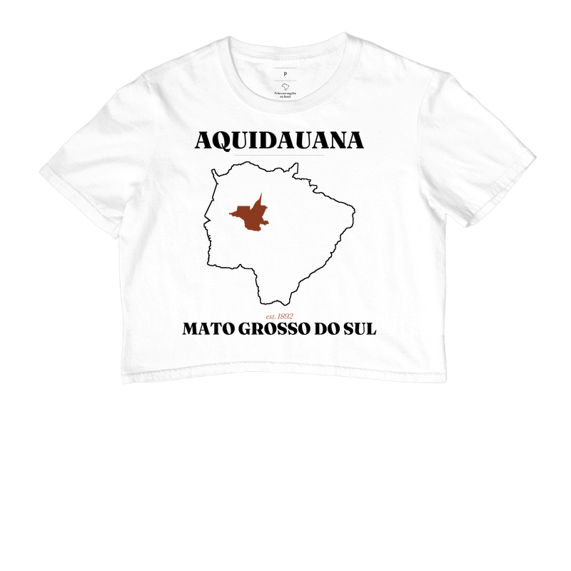 Aquidauana | Legado MS - Imagem 3