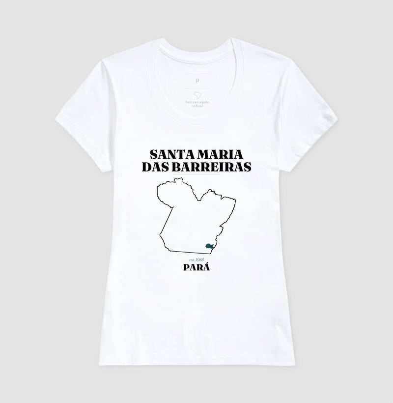 Santa Maria das Barreiras | Legado PA - Imagem 5