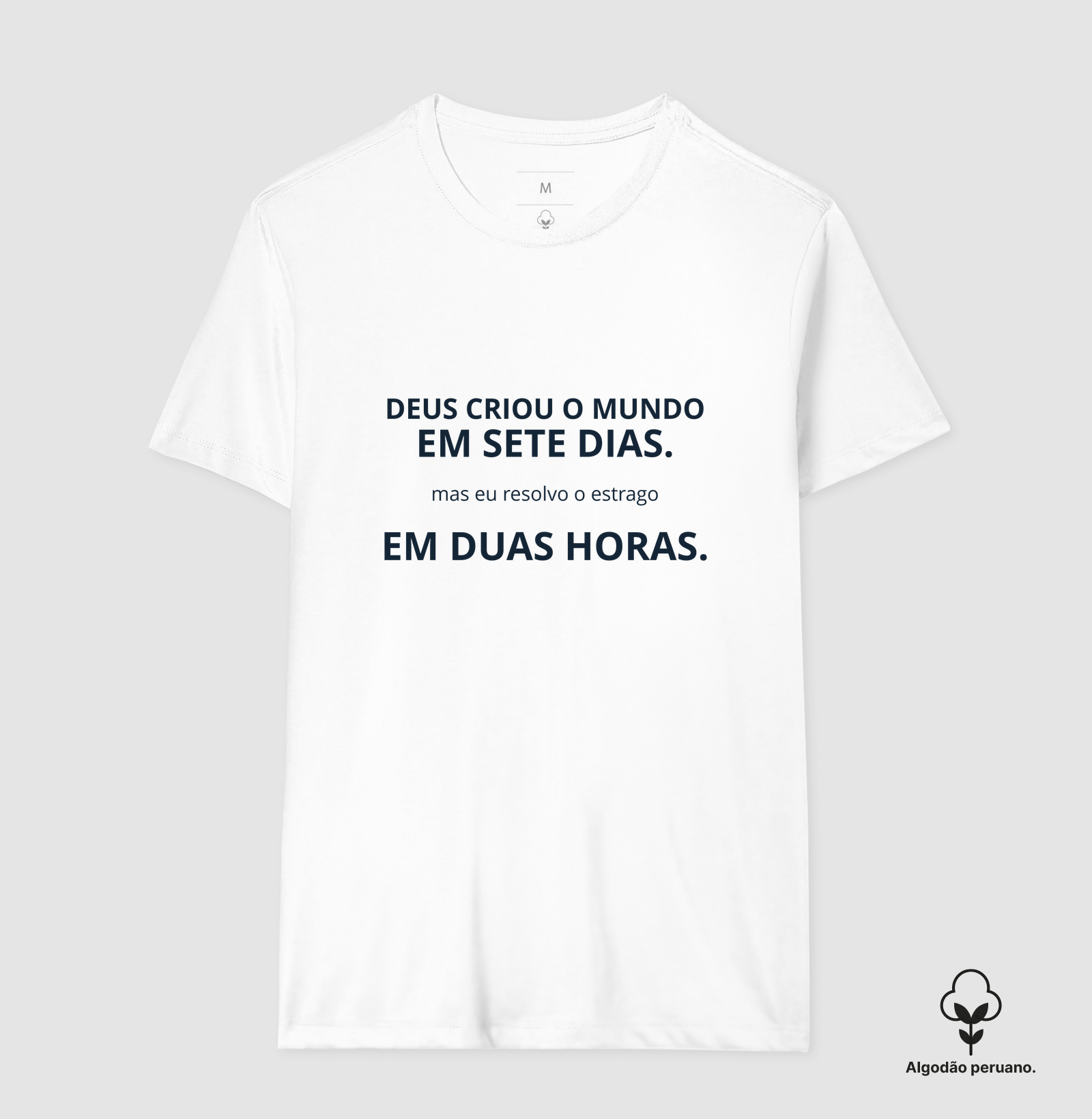 Deus criou o mundo em 2 horas  - Imagem 2