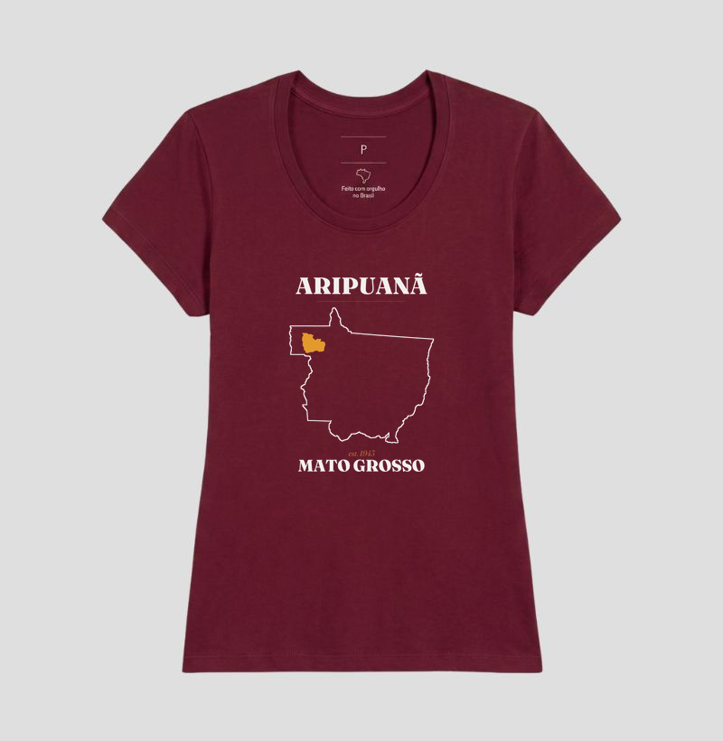 Aripuanã | Legado MT - Imagem 19