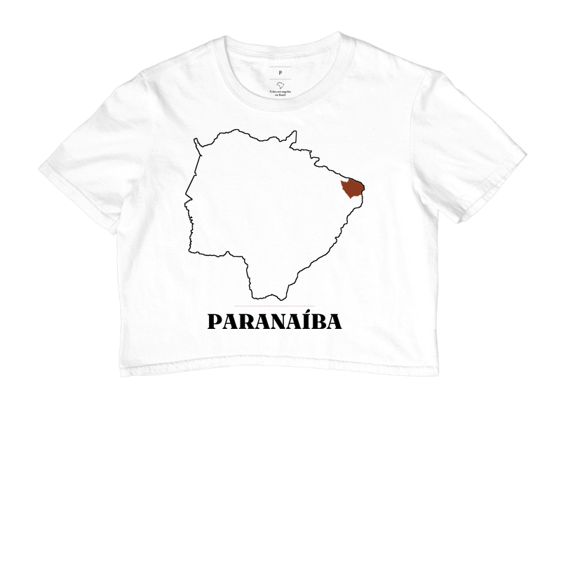 Paranaíba | Traço MS - Imagem 3