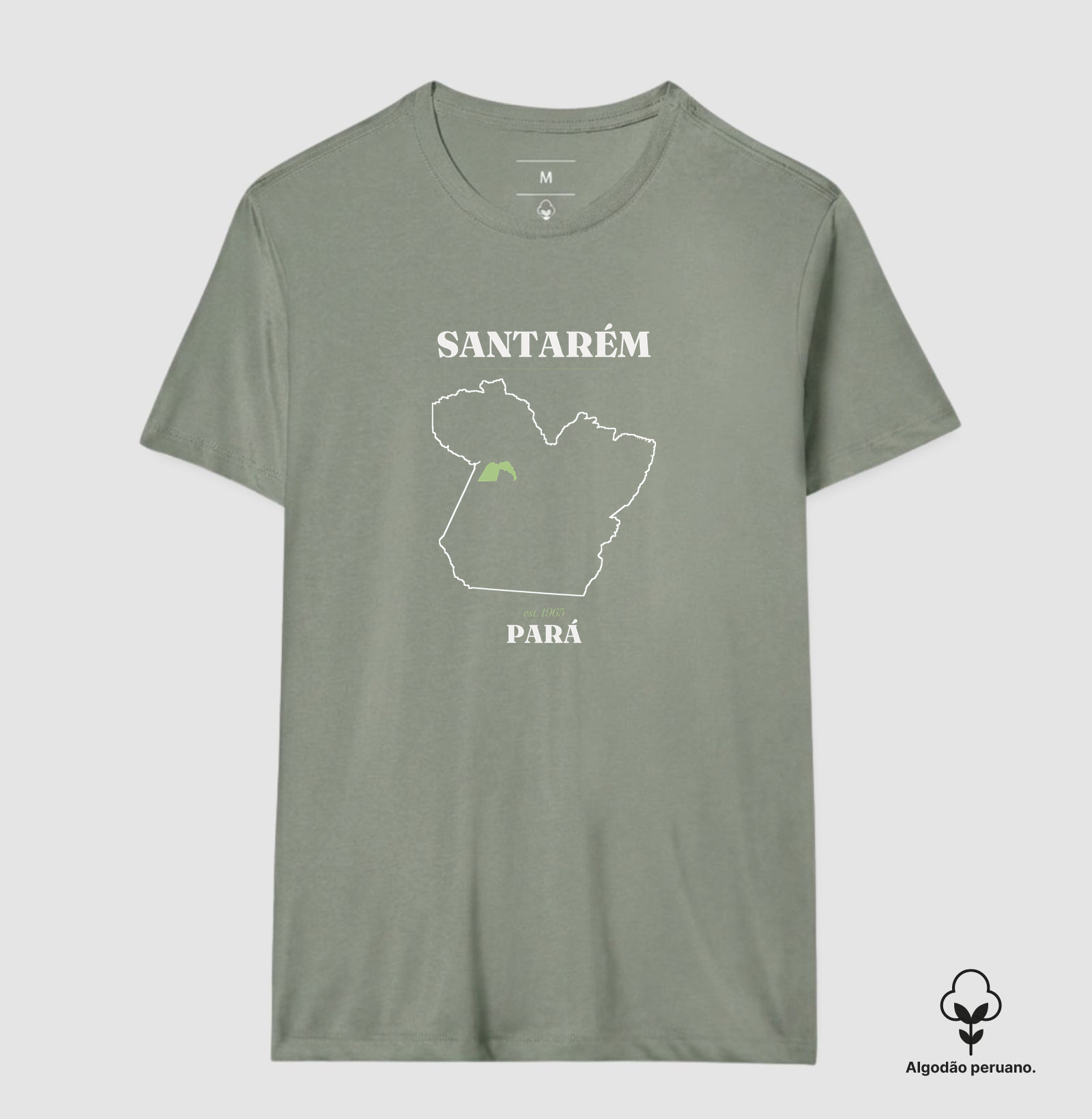 Santarém | Legado PA - Imagem 5