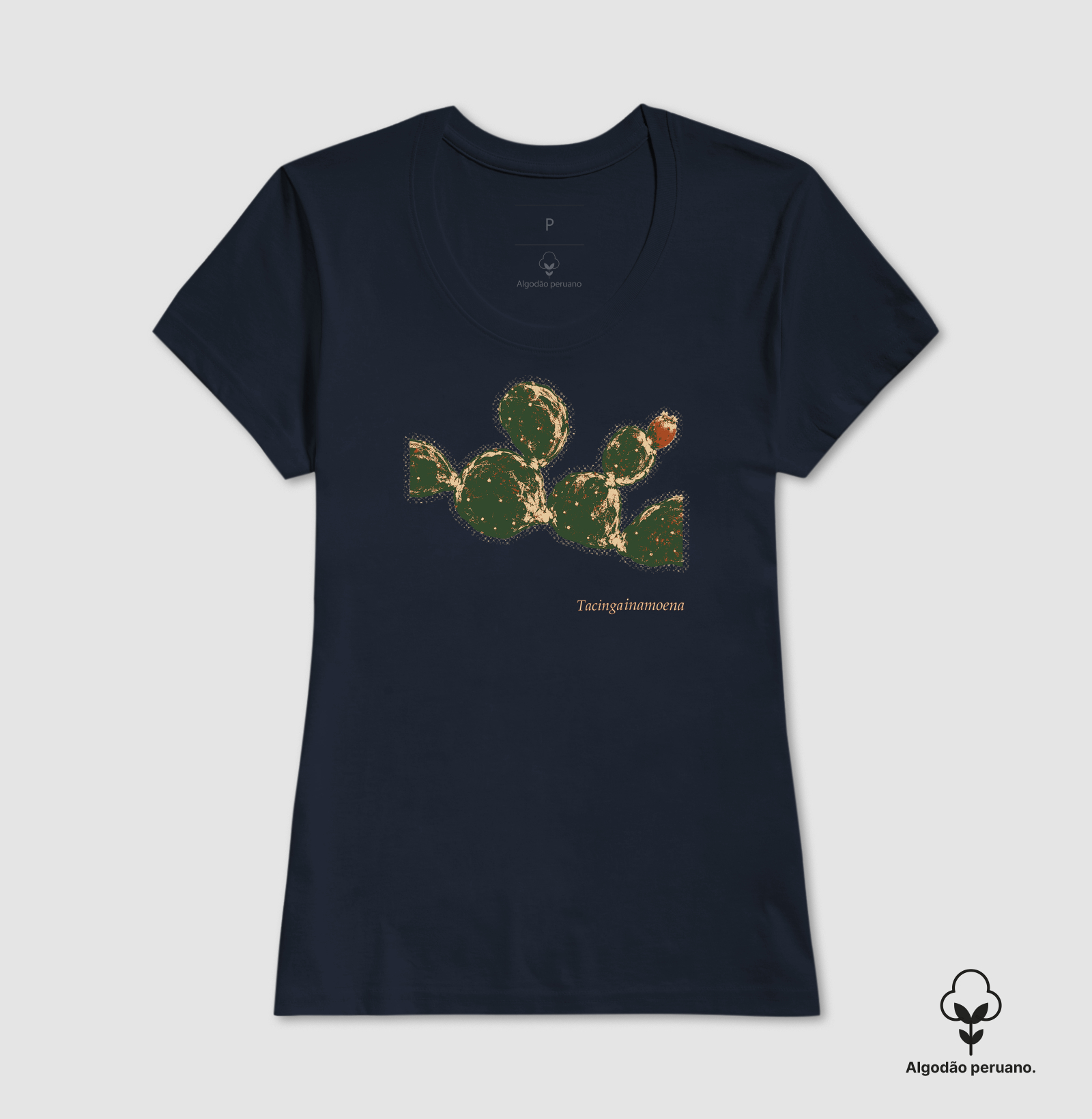 Quipá - Imagem 8
