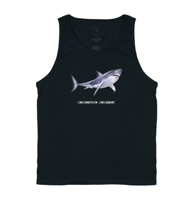Carcharodon carcharias - Imagem 3