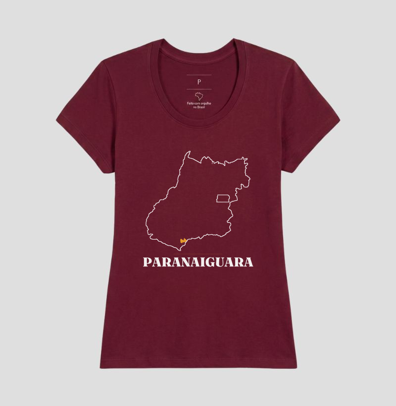 Paranaiguara | Traço GO - Imagem 19