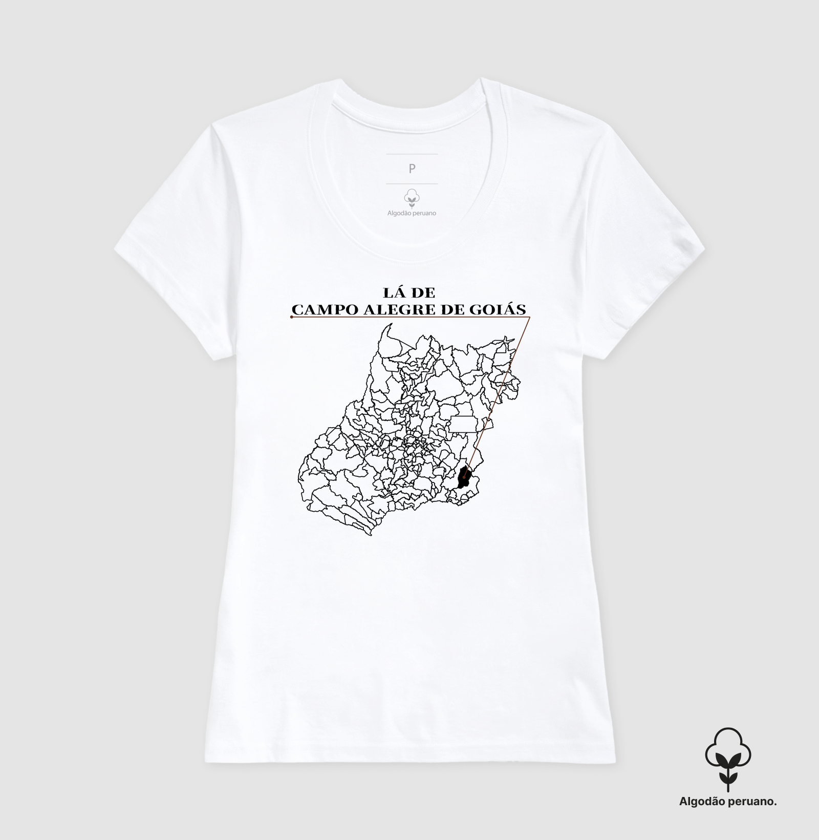 Campo Alegre de Goiás | Origem GO - Imagem 7