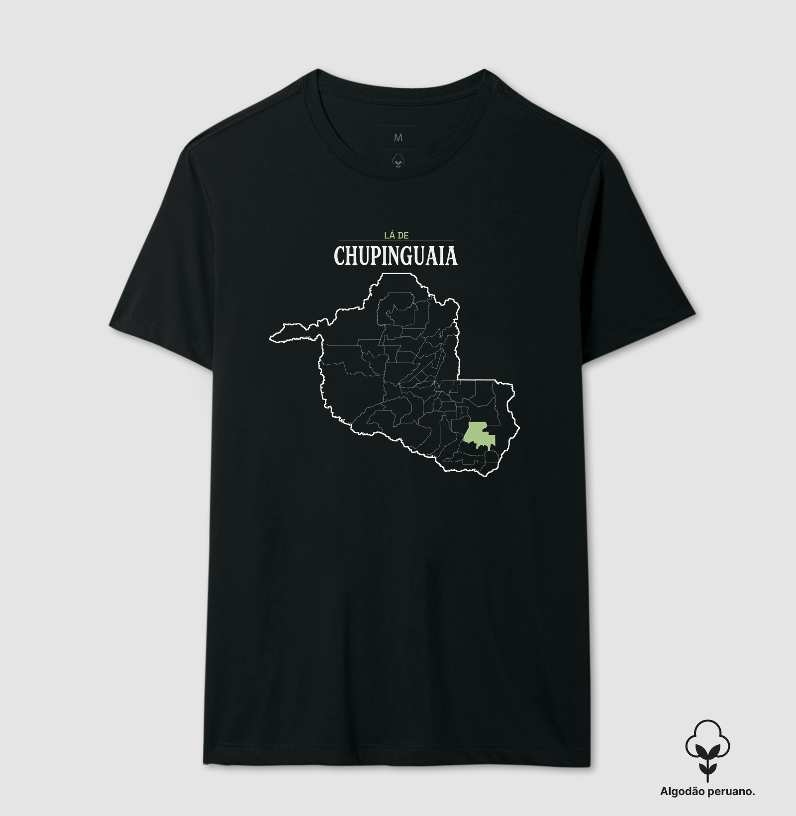 Chupinguaia | Território RO - Imagem 5