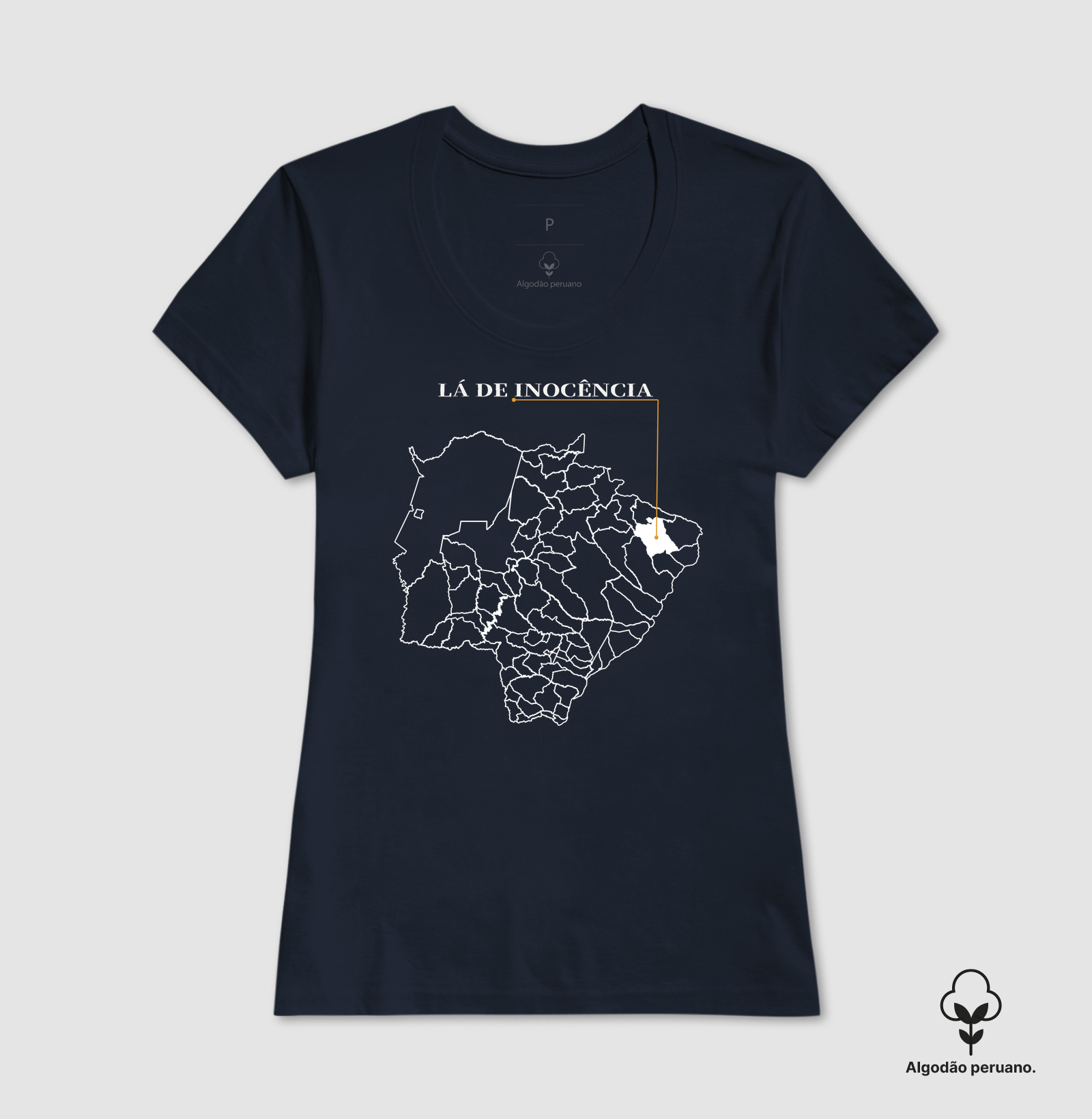 Inocência | Origem MS - Imagem 9