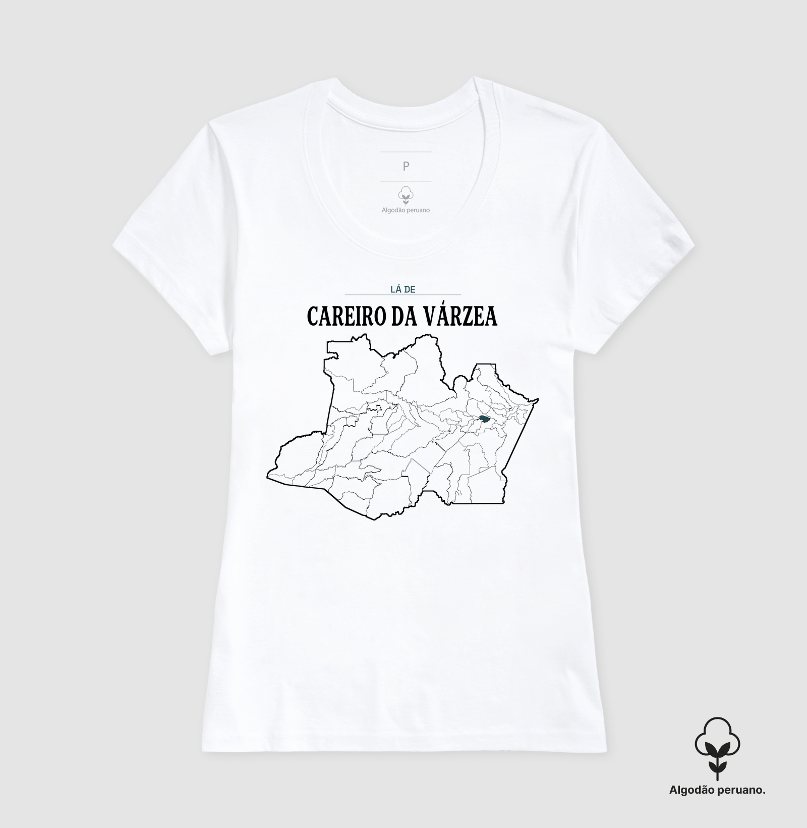 Careiro da Várzea | Território AM - Imagem 8