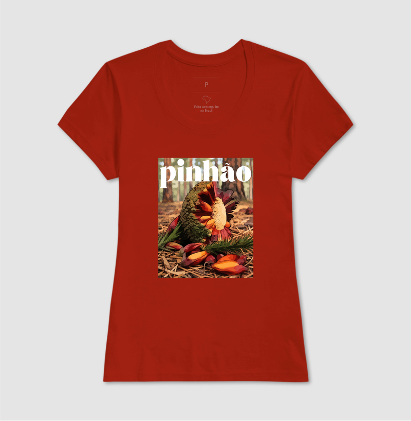 Pinhão - Imagem 11