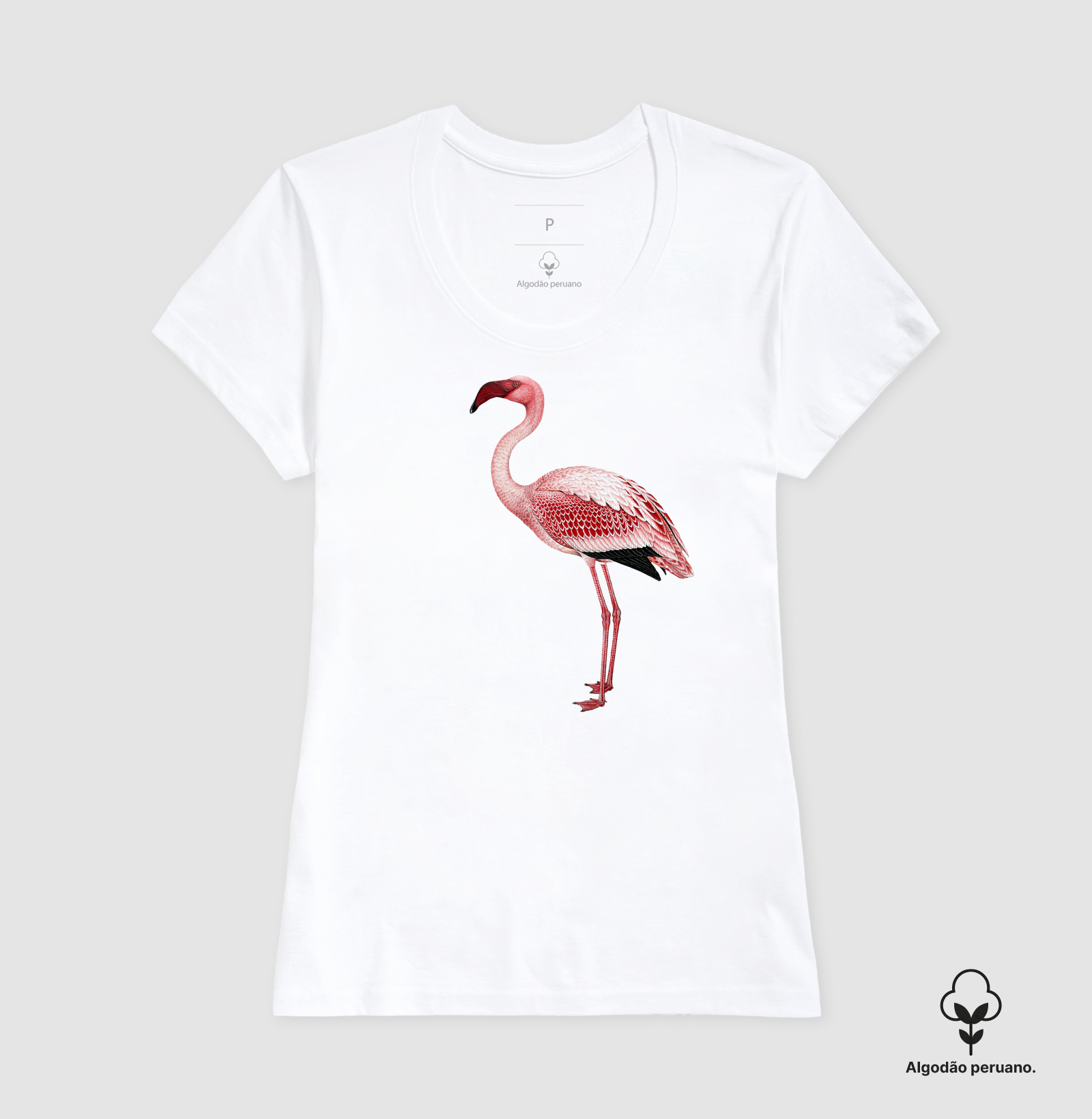 Flamingo - Imagem 4