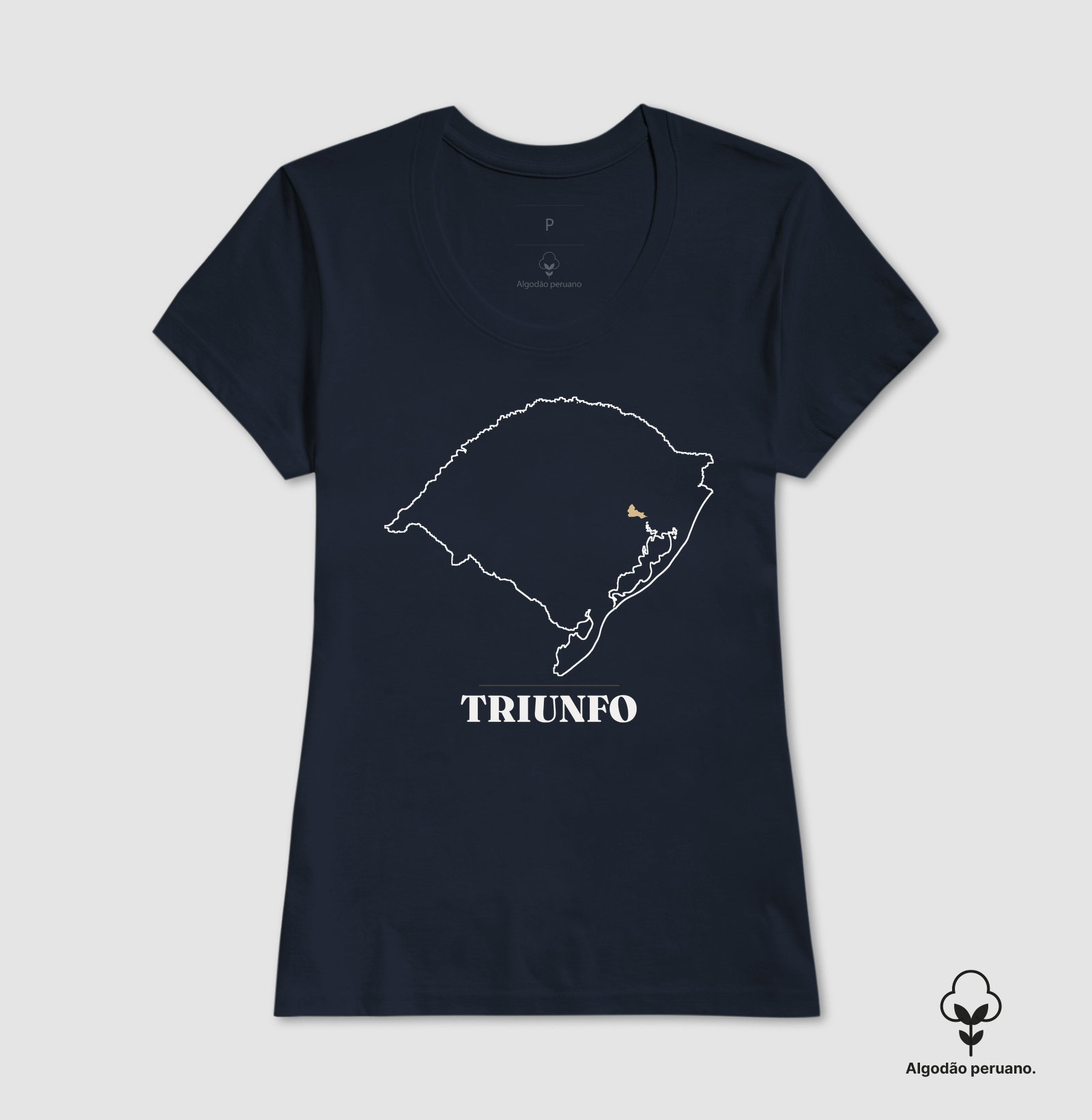 Camisa 6