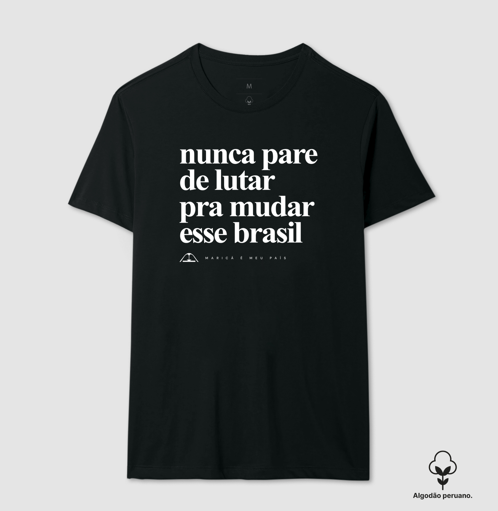 Nunca pare de lutar pra mudar esse Brasil - Imagem 2