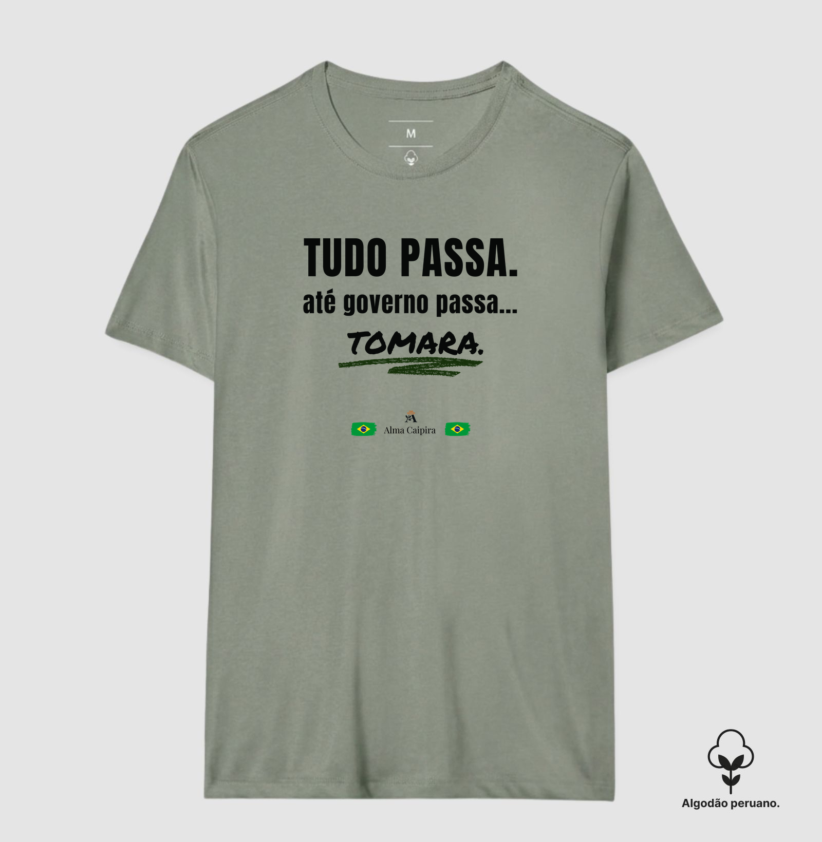Tudo passa, até governo passa... tomara - Imagem 9