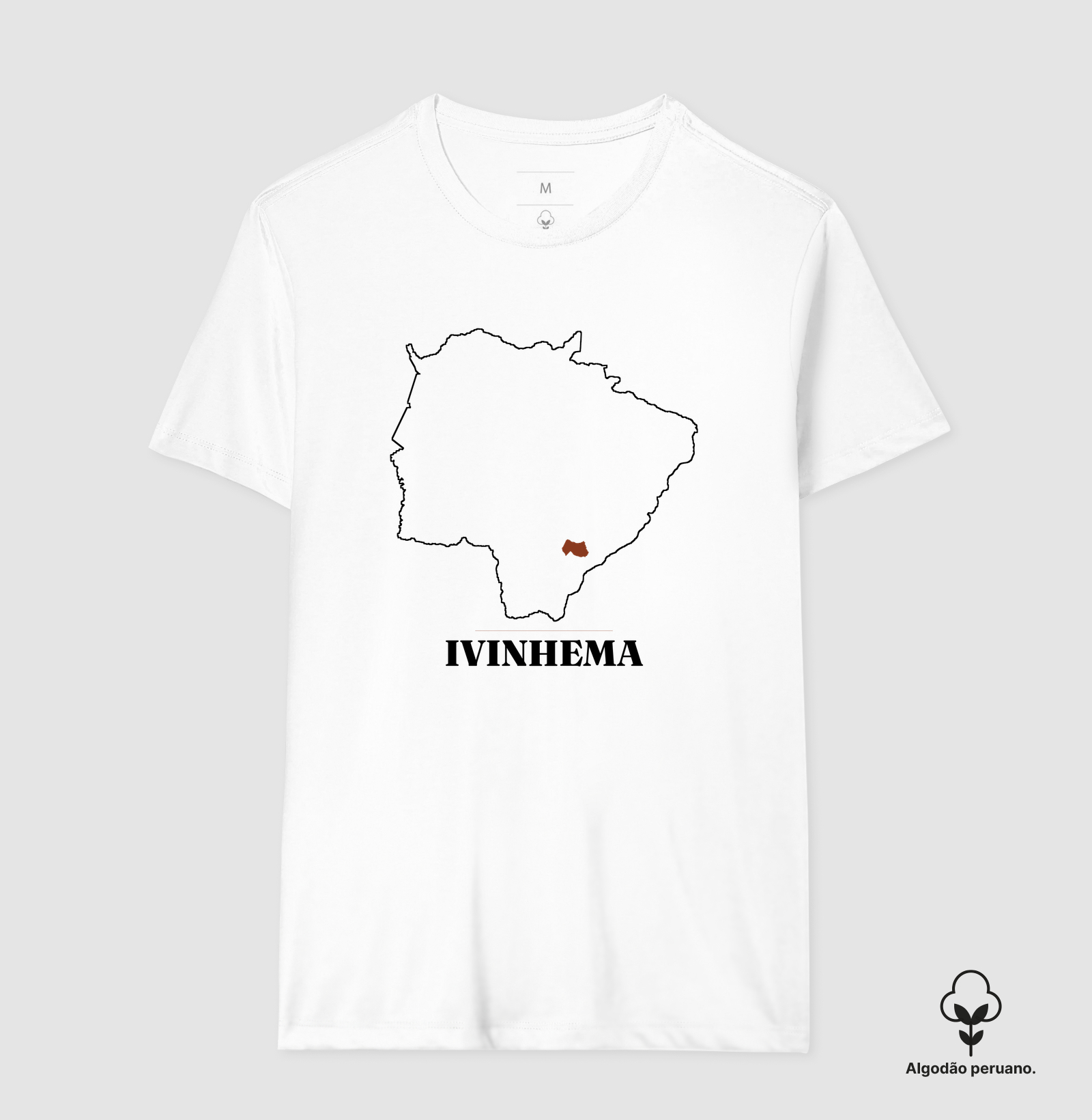 Ivinhema | Traço MS - Imagem 8