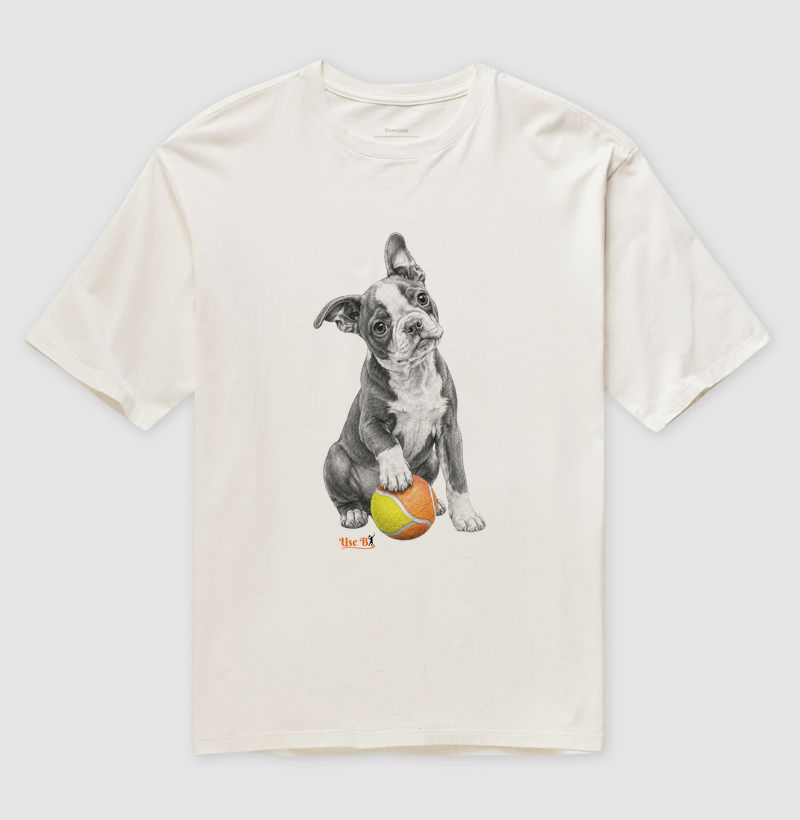 Boston Terrier do Beach - Imagem 4
