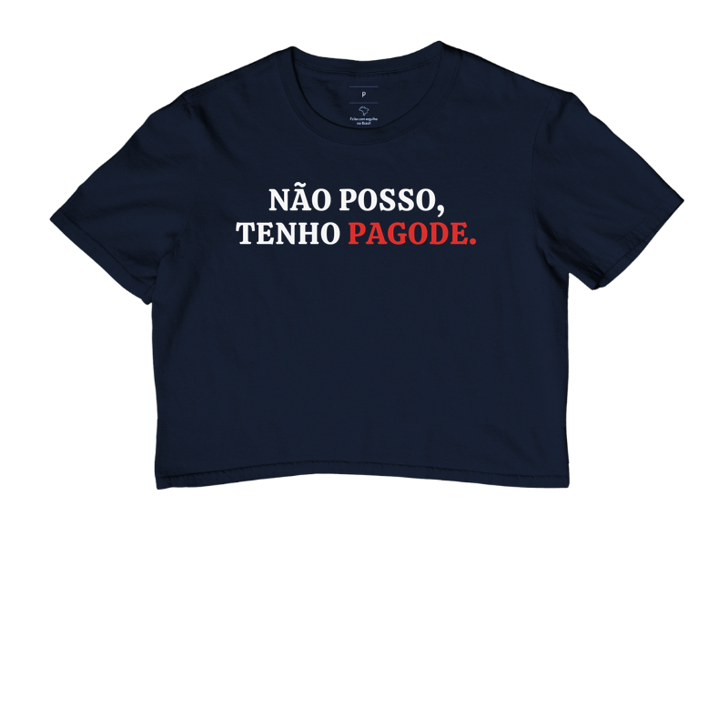 Não posso tenho pagode - Imagem 4