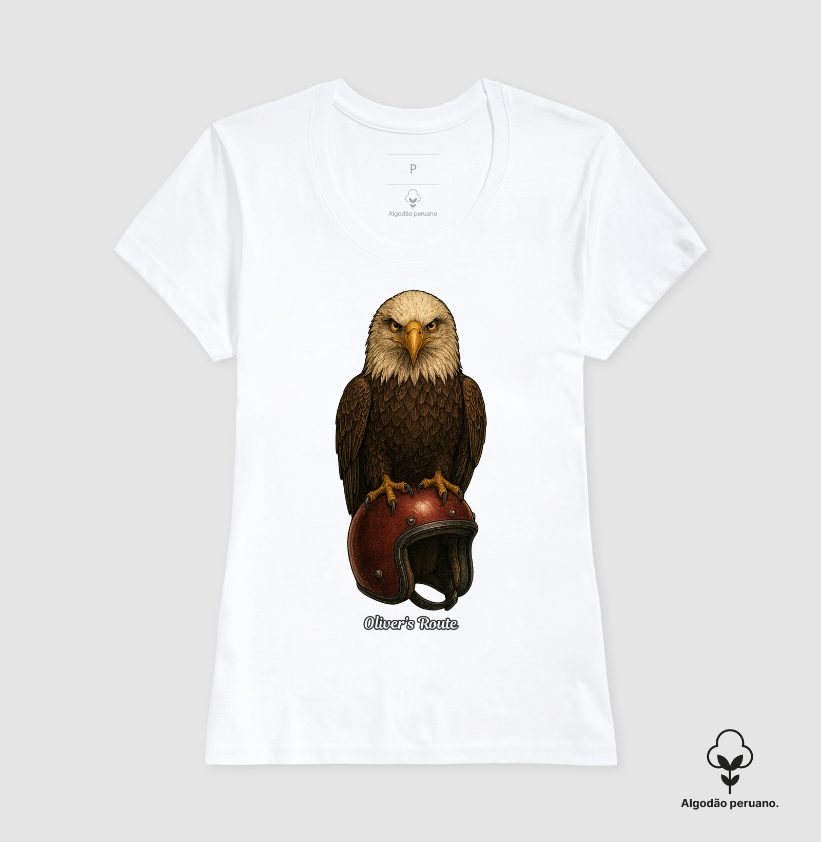 The Eagle and the Helmet - Imagem 6