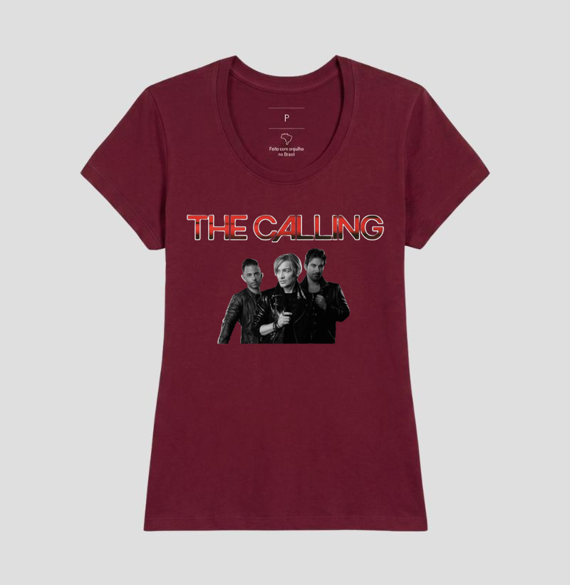 The Calling - Integrantes - Imagem 19