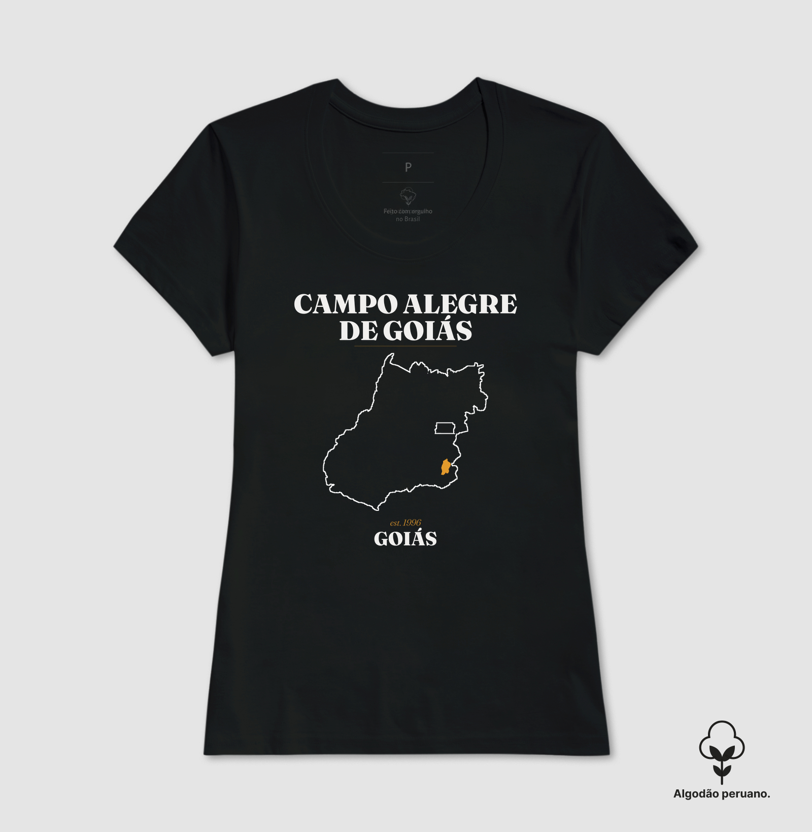 Campo Alegre de Goiás | Legado GO - Imagem 8