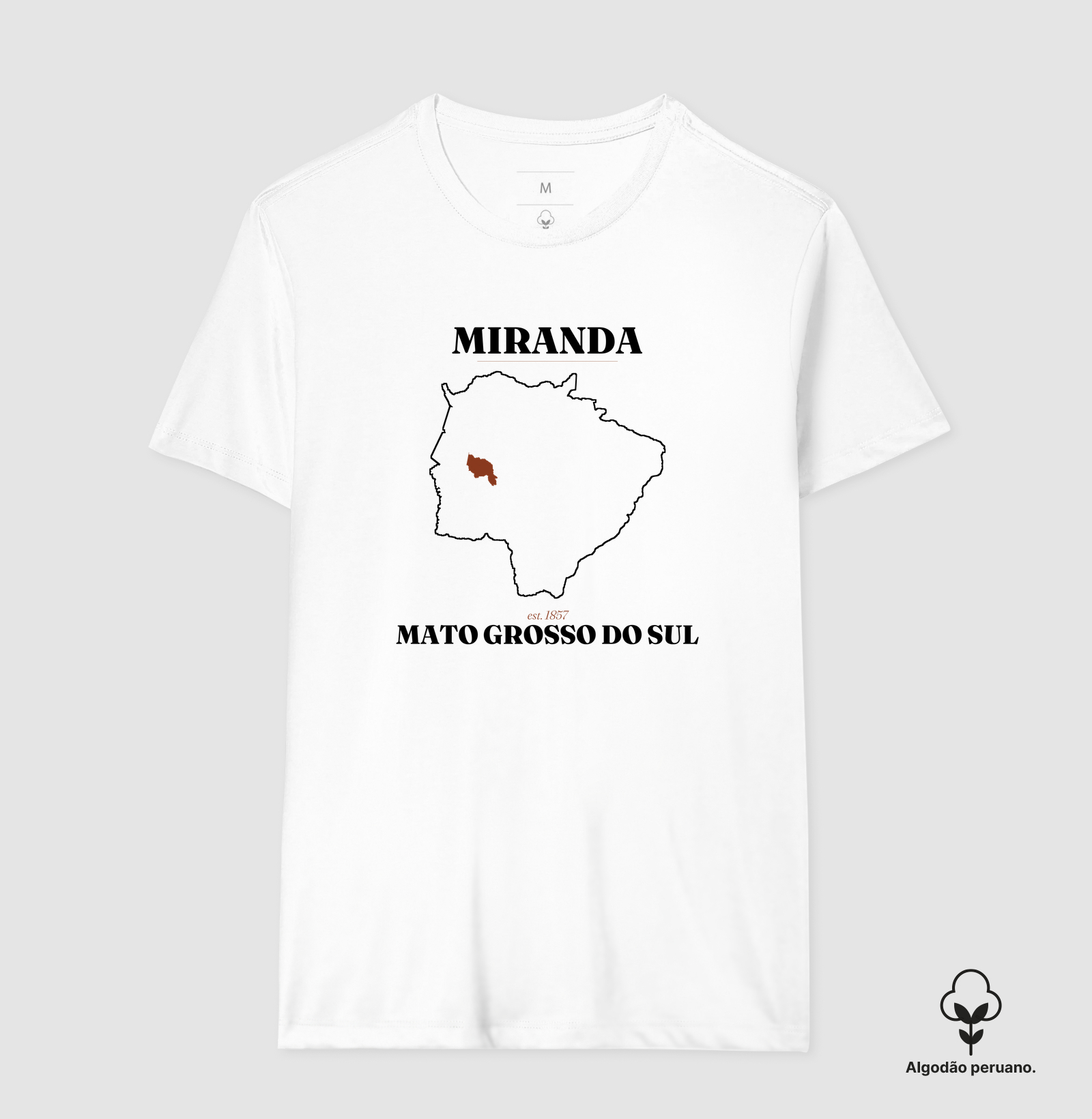 Camisa 2