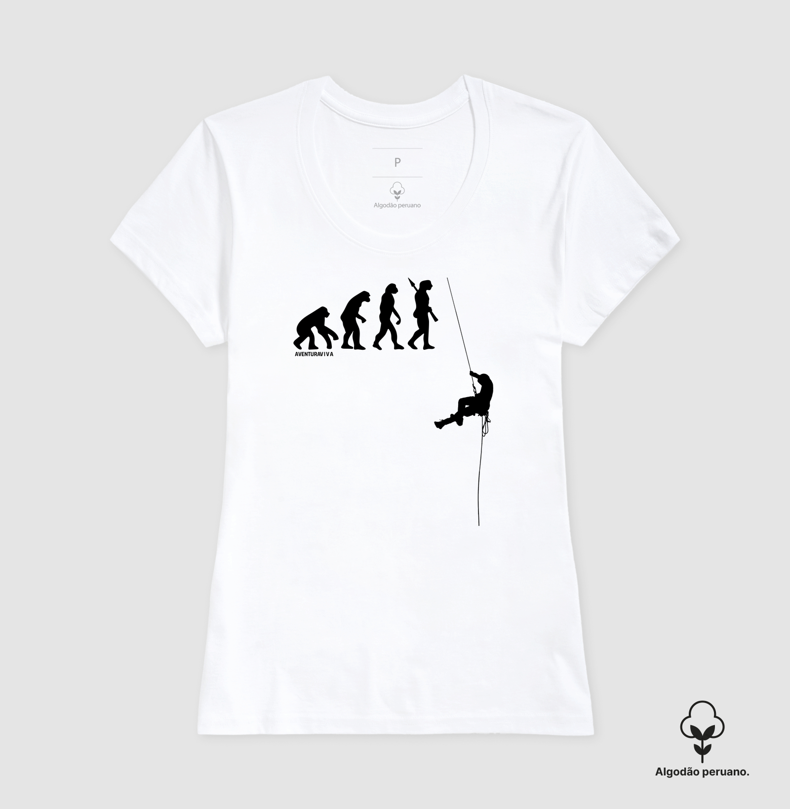 Evolução Rapel - Imagem 8