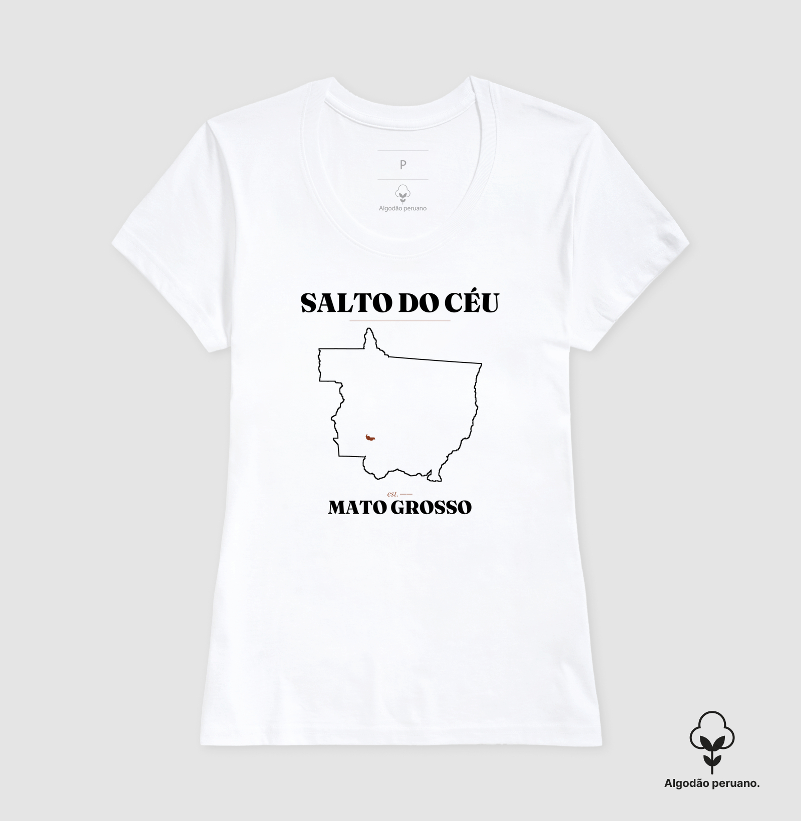 Salto do Céu | Legado MT - Imagem 9
