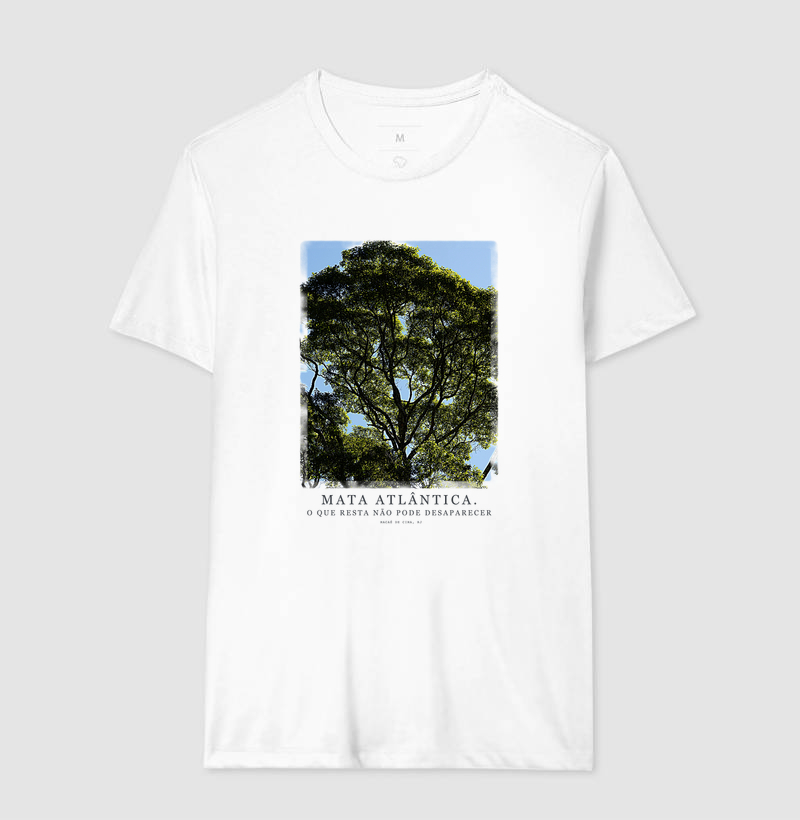 Mata Atlântica - Imagem 2