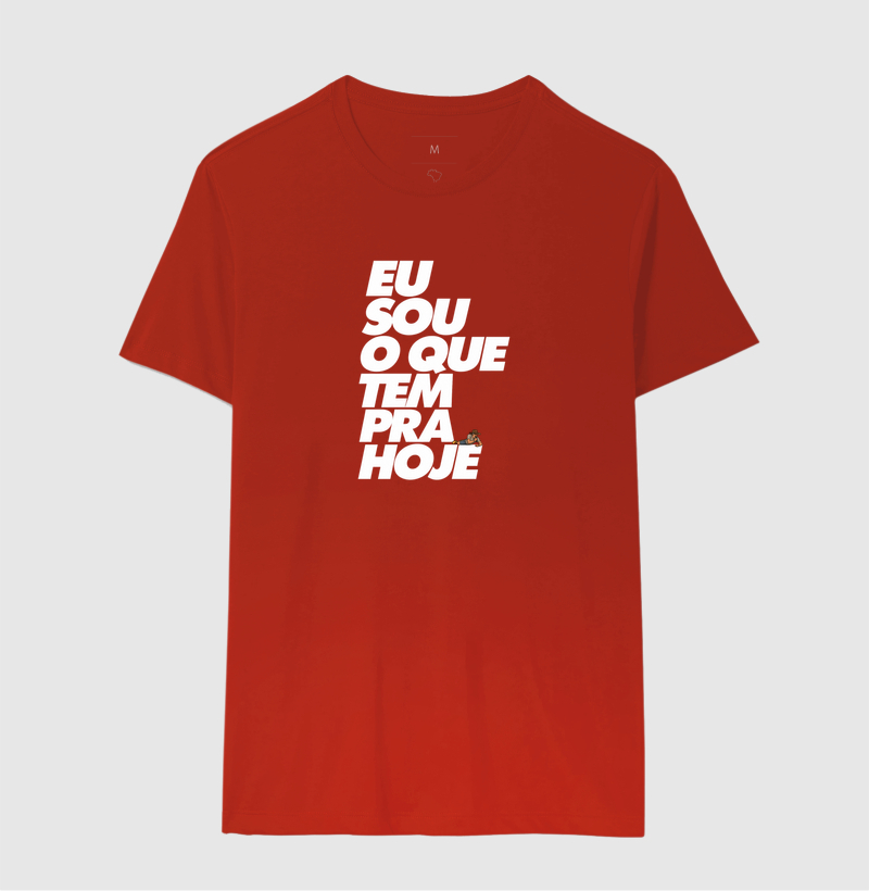 Camiseta Eu sou o que tem pra hoje. ( O bagaceira) - Imagem 5
