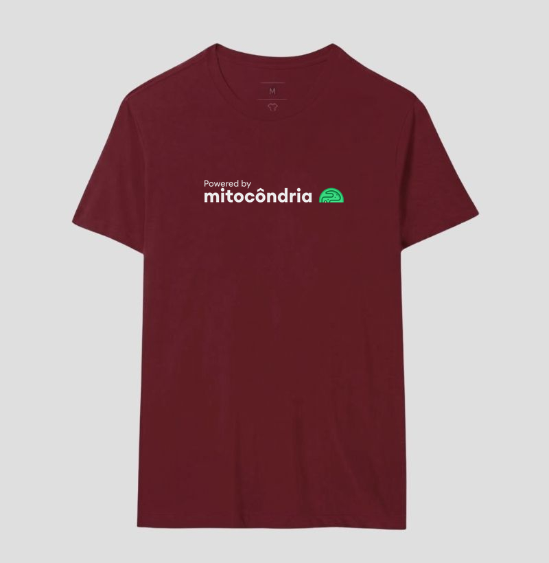 Camisa 17