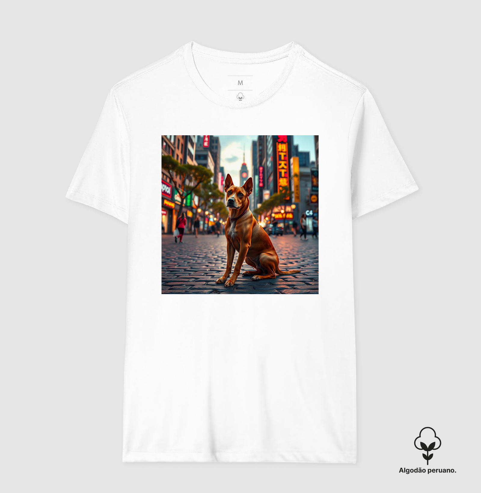 Camisa 4