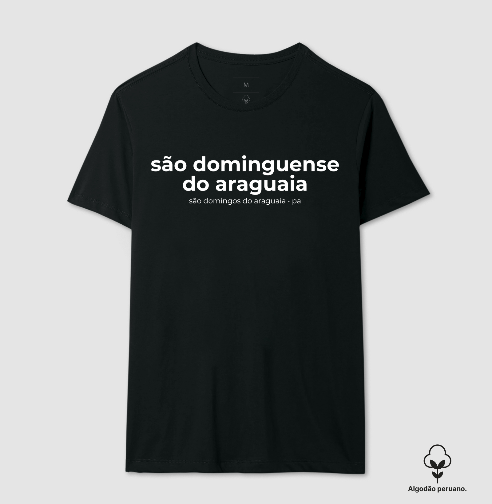 São Dominguense Do Araguaia | Gentílico PA - Imagem 9