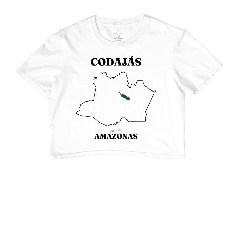 Codajás | Legado AM - Imagem 3