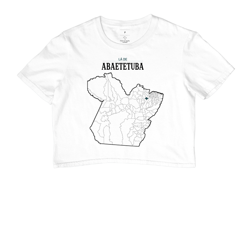 Abaetetuba | Território PA - Imagem 3