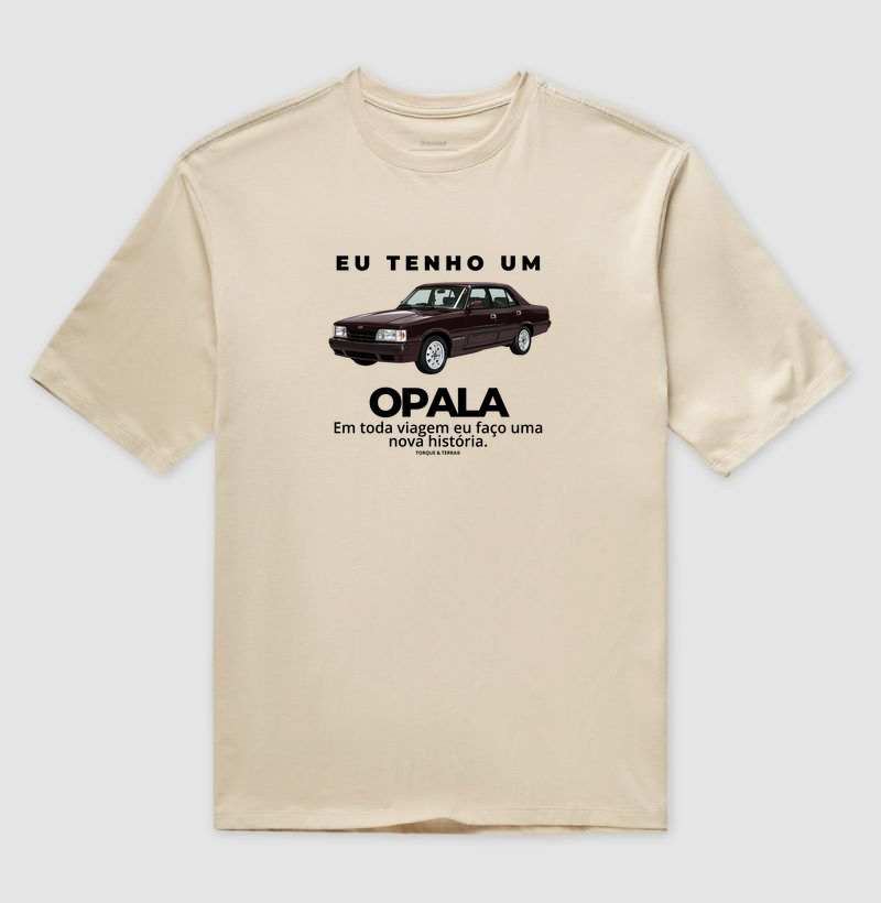 Eu tenho um Opala Diplomata vinho - Imagem 3