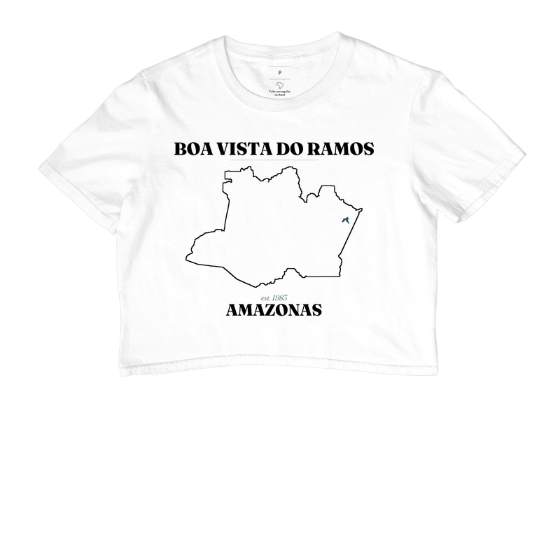 Boa Vista do Ramos | Legado AM - Imagem 3