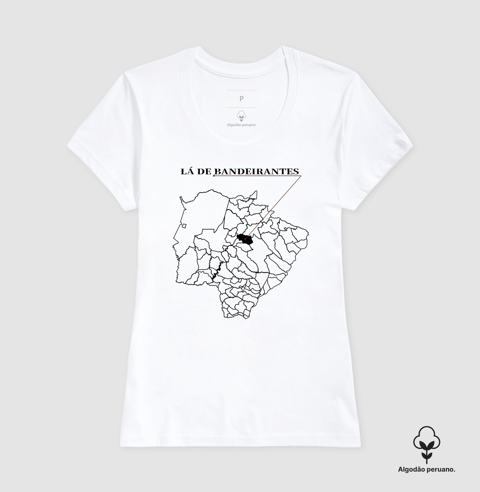 Bandeirantes | Origem MS - Imagem 6