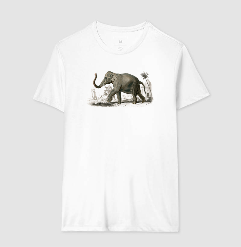 Elefante-asiático - Imagem 2