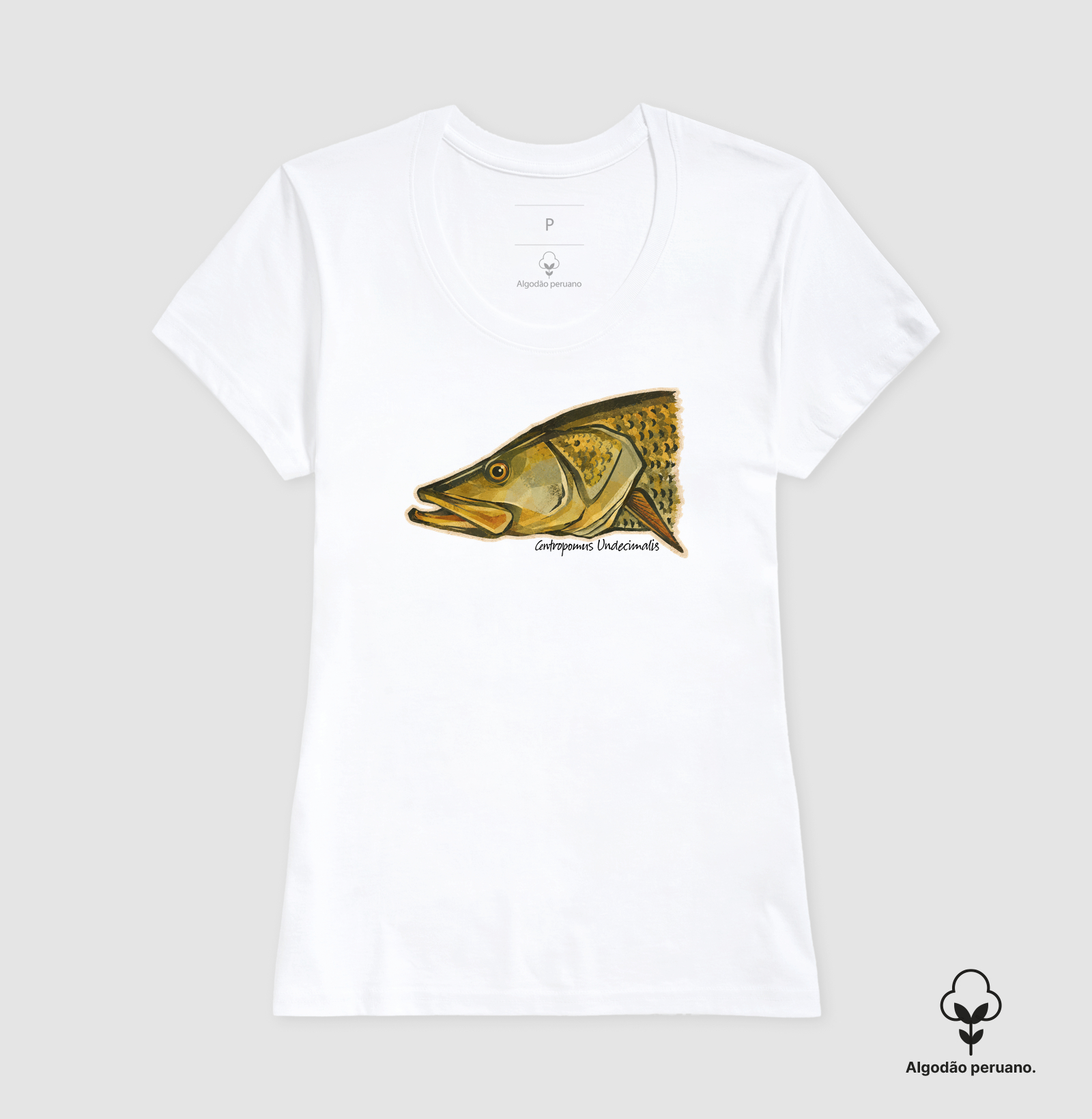 Robalo-Flecha - Imagem 3