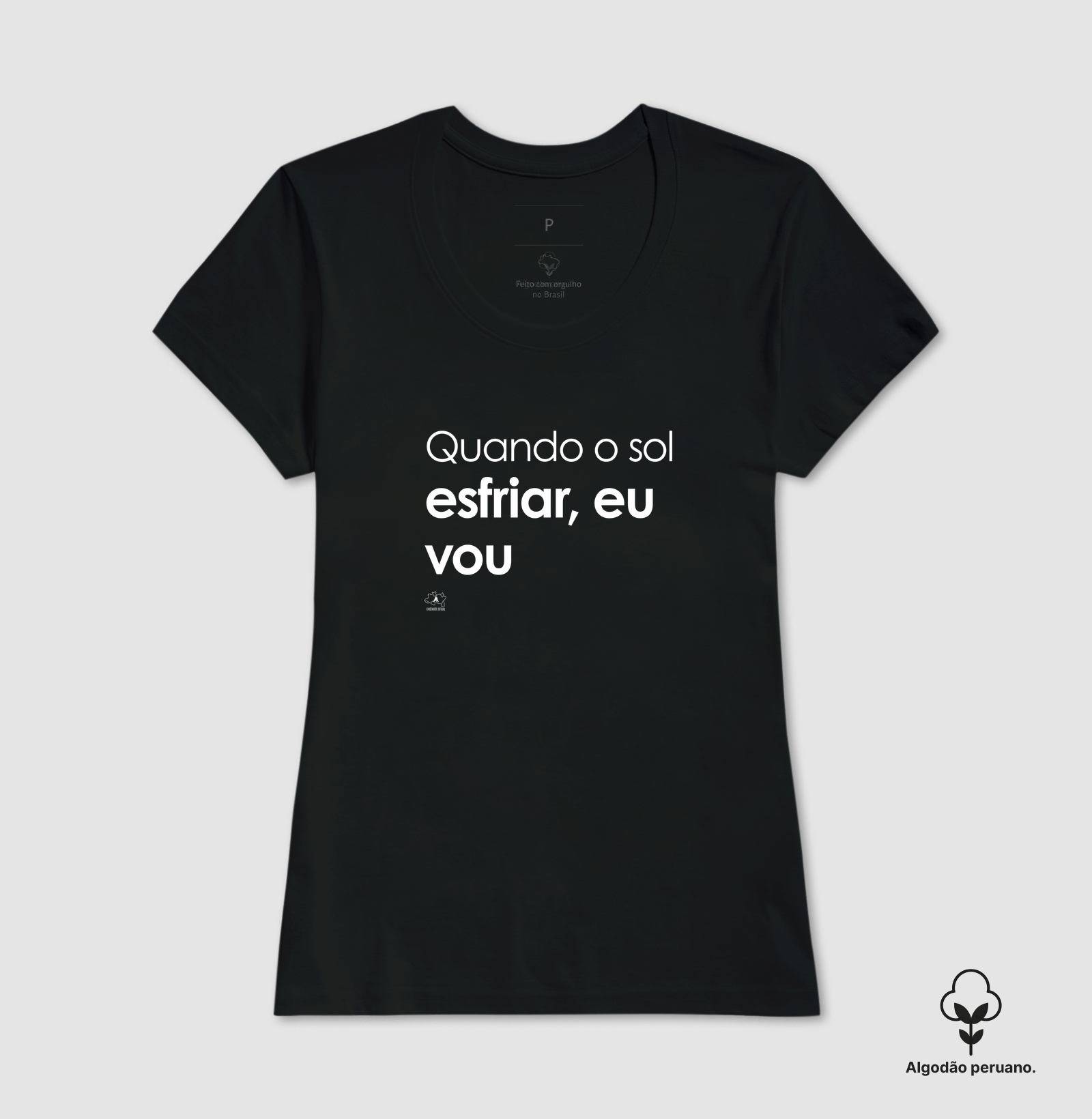 Quando esfriar o sol eu vou - Imagem 6