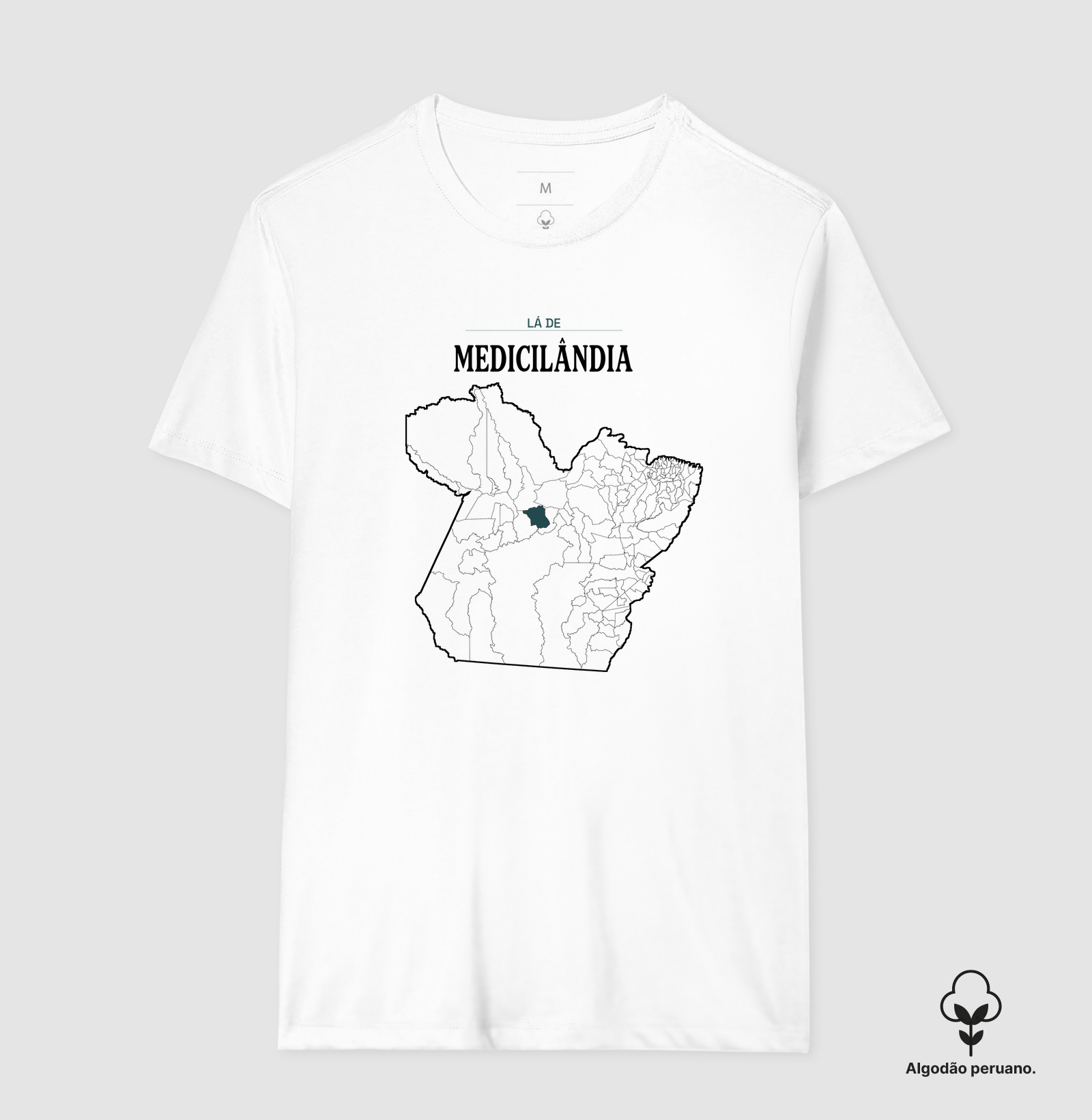 Medicilândia | Território PA - Imagem 7