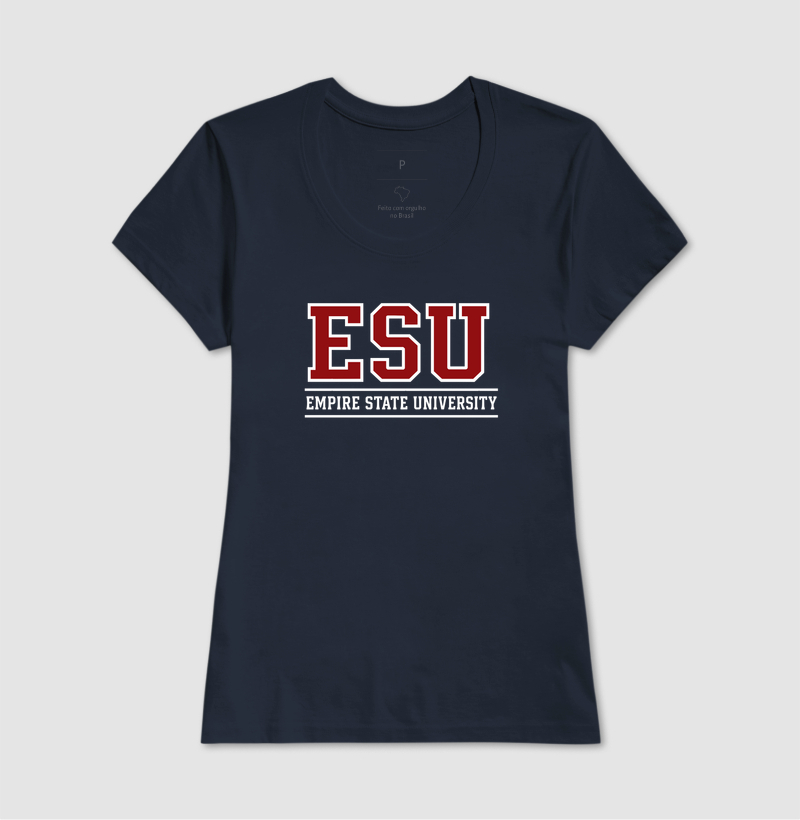 Empire State University - Imagem 8