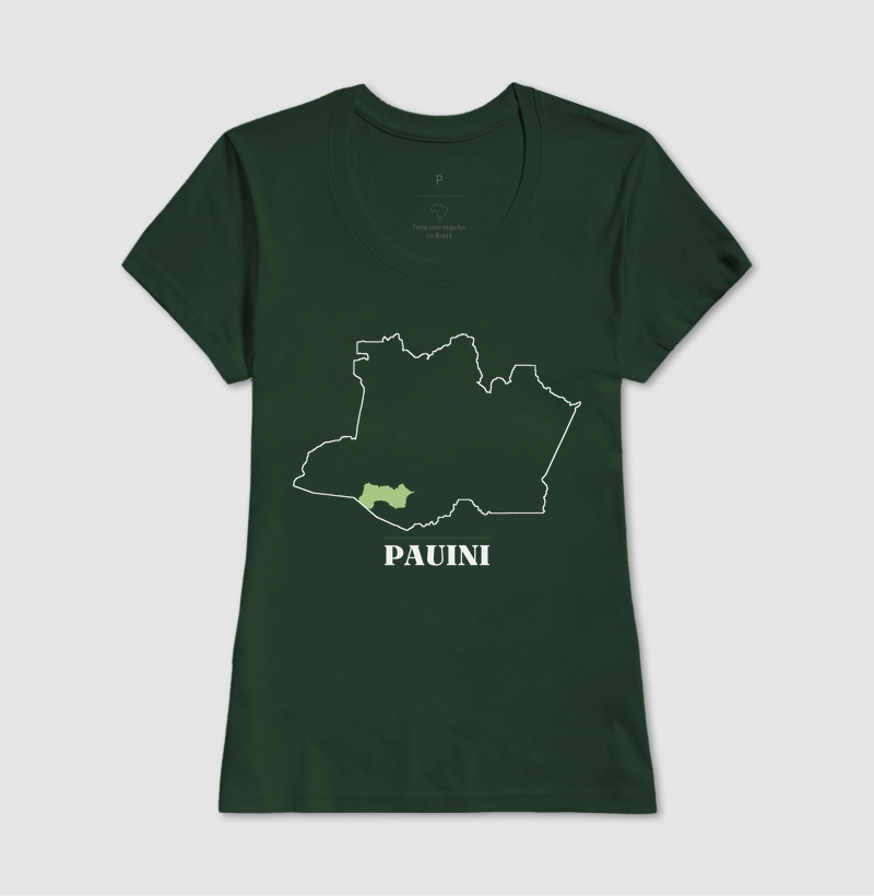 Pauini | Traço AM - Imagem 13