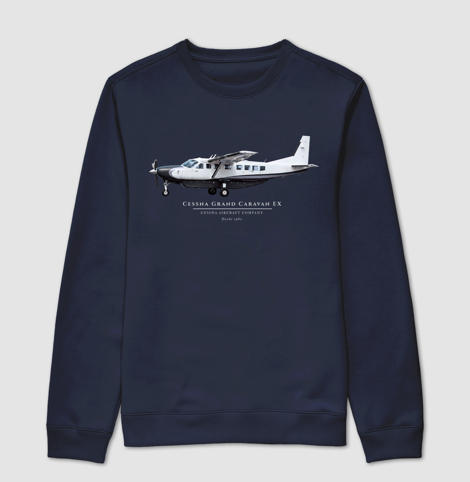 Cessna Grand Caravan EX - Imagem 5