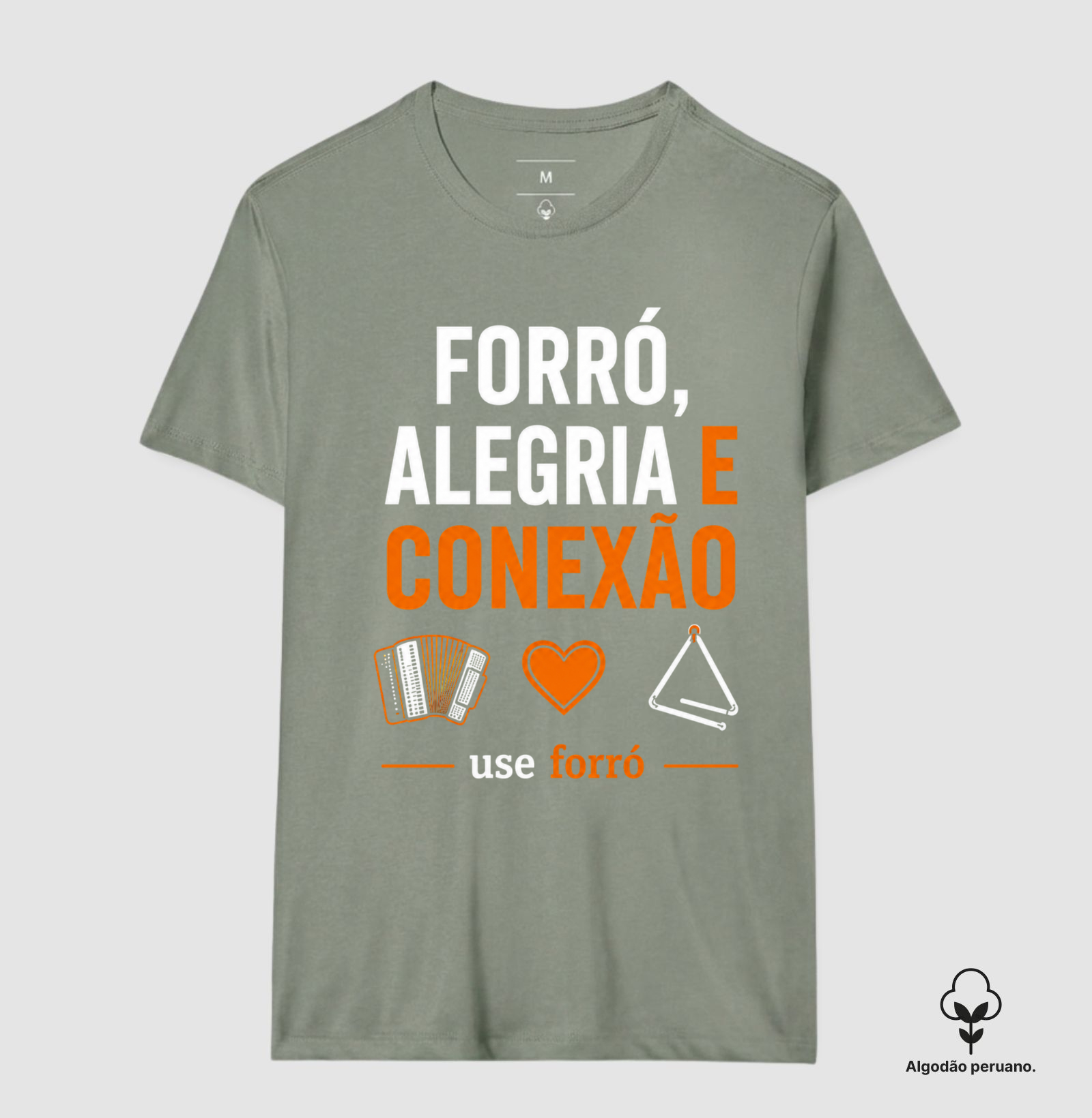 Forró, Alegria e Conexão - Imagem 2