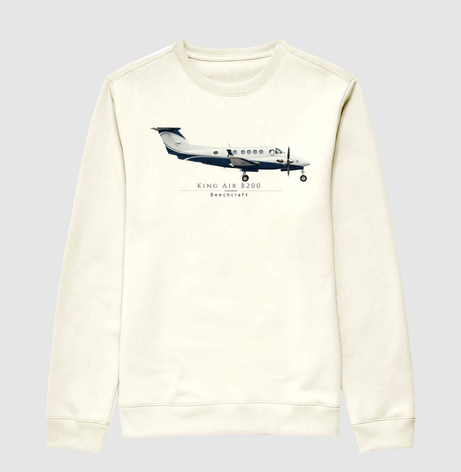 King Air B200 | Profile - Imagem 2