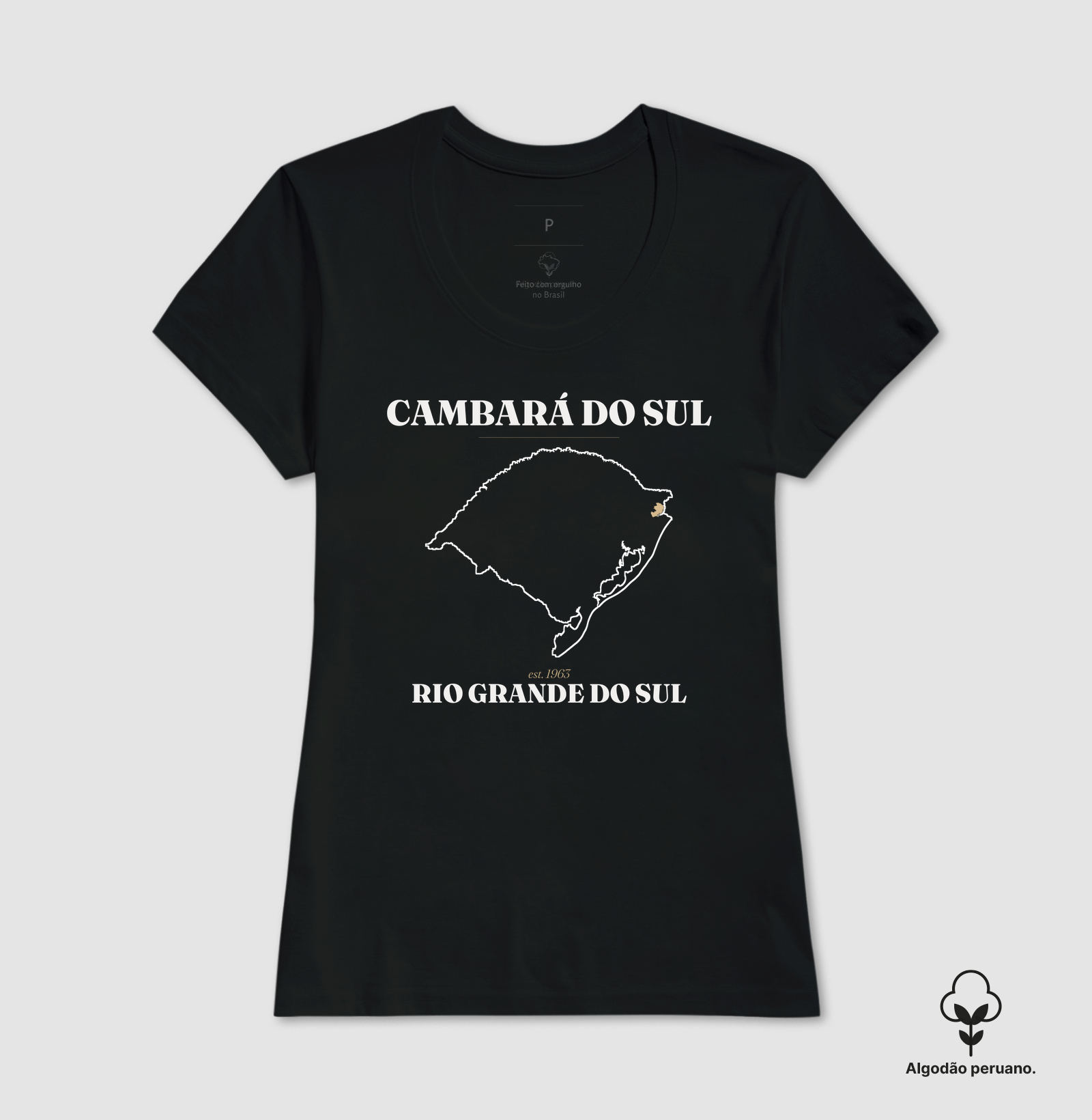 Cambará do Sul | Legado RS - Imagem 4