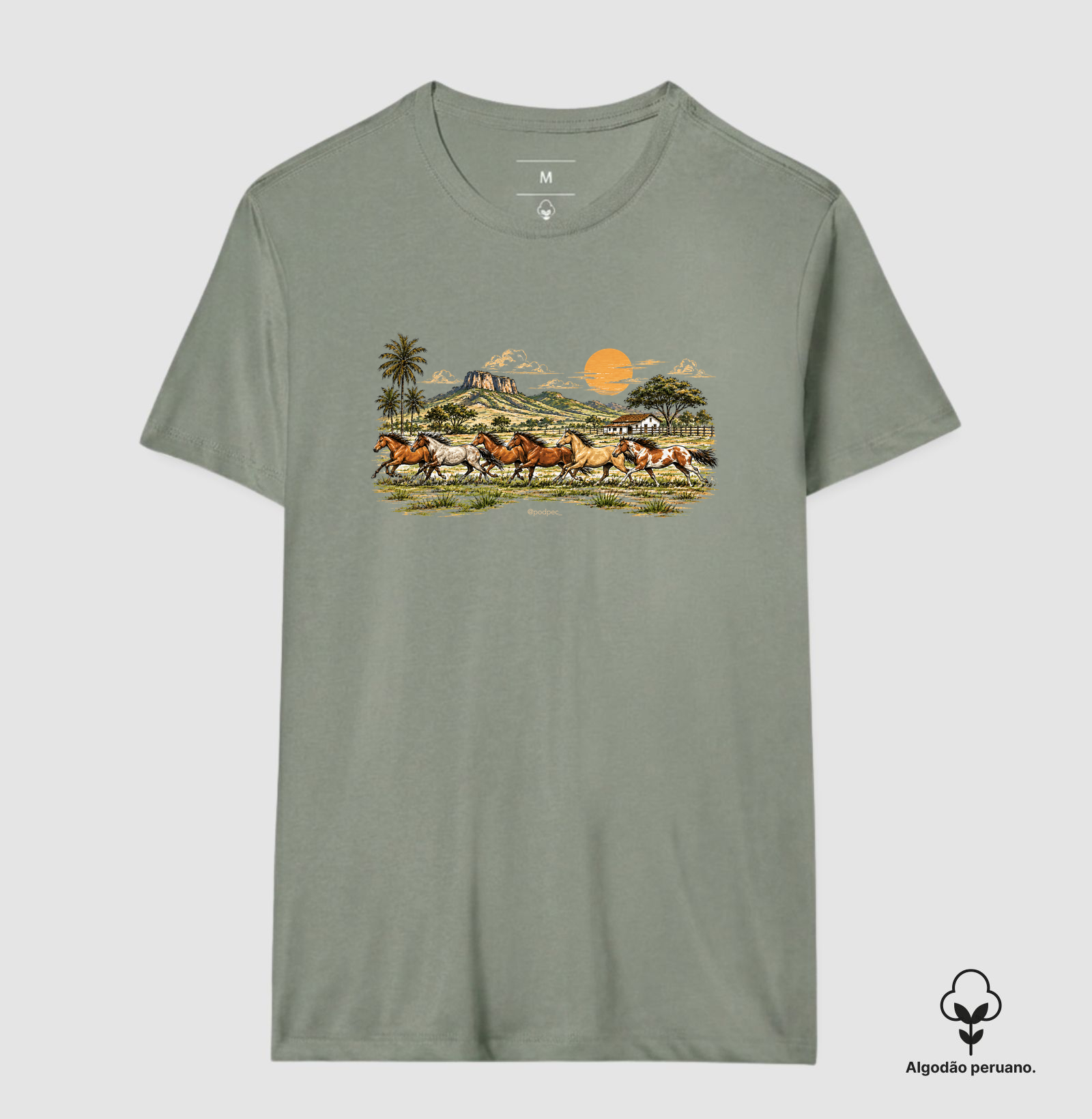 Camisa 8