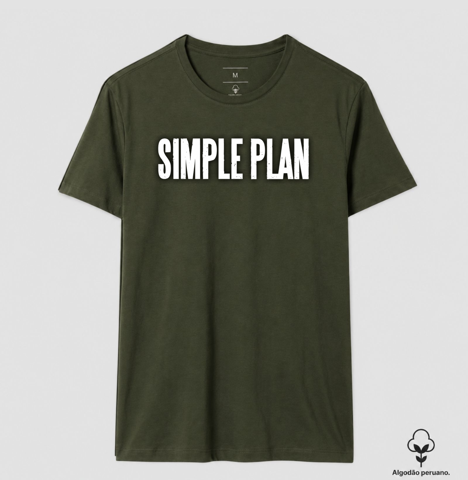 Simple Plan - Imagem 9